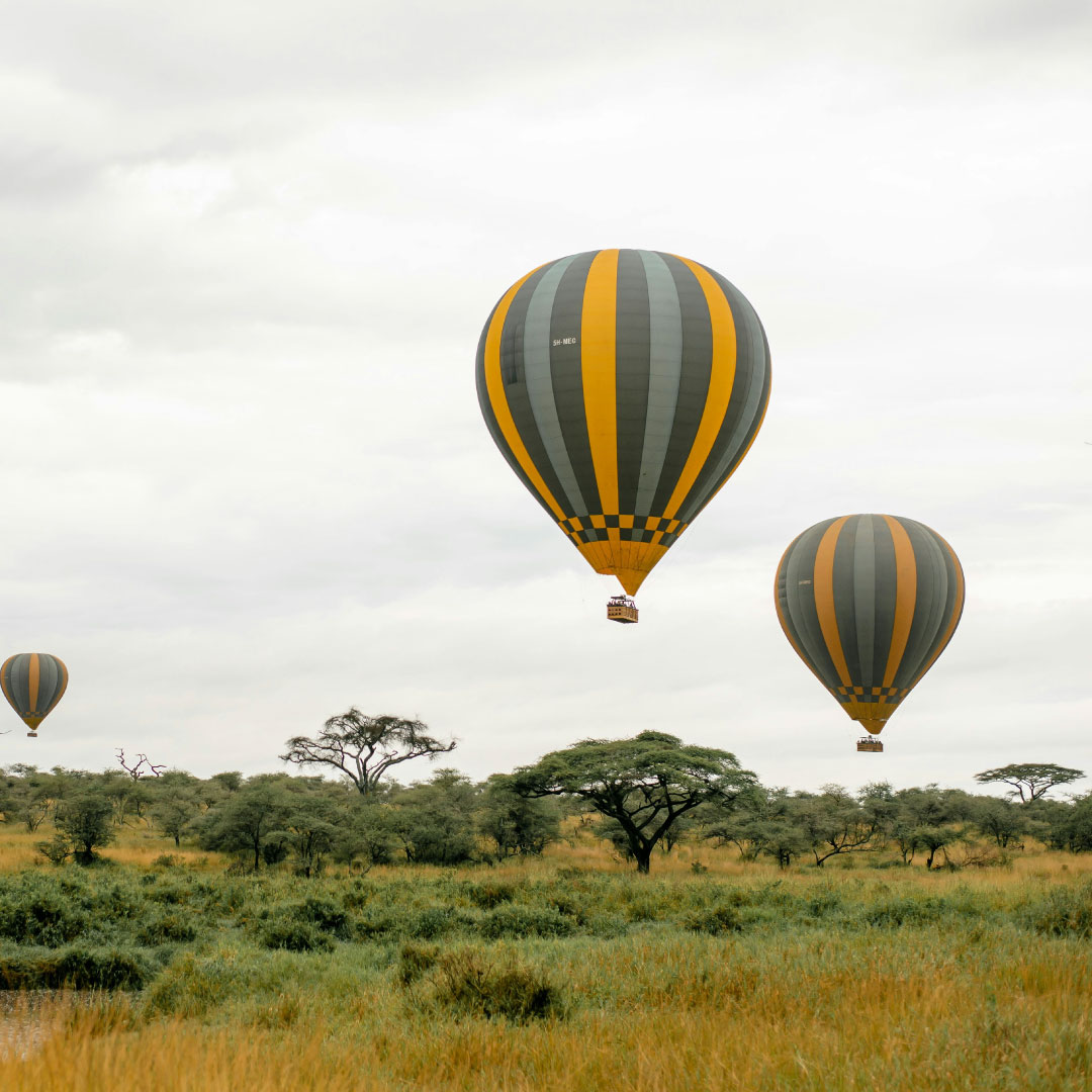 Tarangire Safaris with Karibu Kwetu